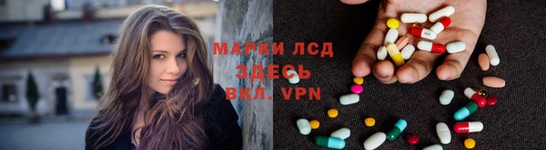 прущие грибы Алексин