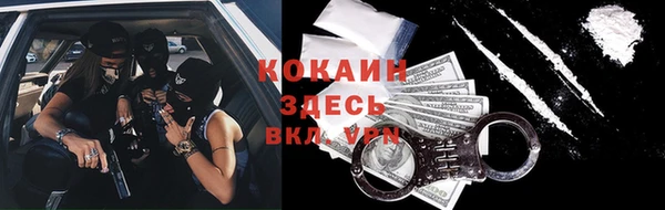 тгк Абаза