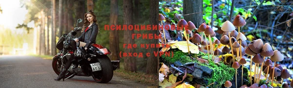 прущие грибы Алексин