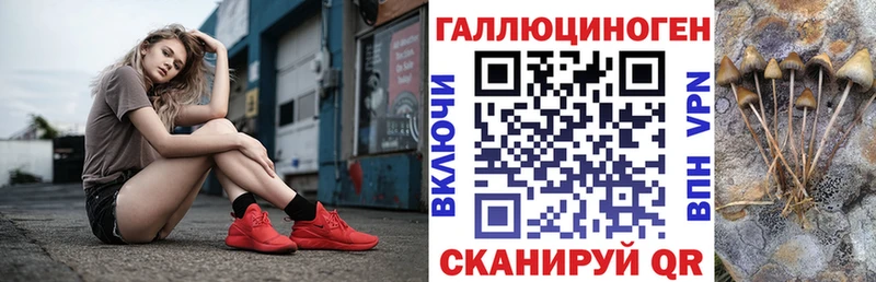 где найти   Брюховецкая  Псилоцибиновые грибы ЛСД 